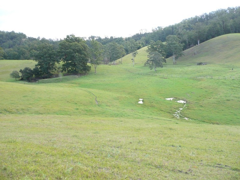 Taylors Arm NSW 2447