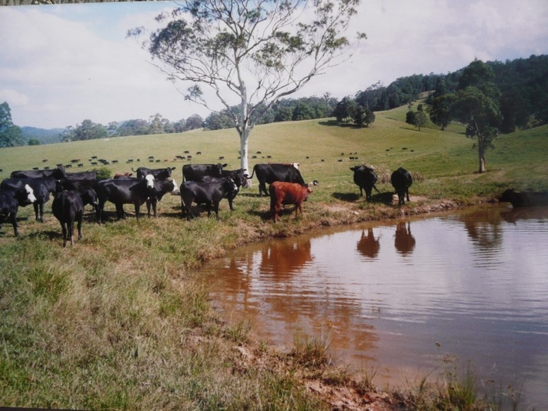 Taylors Arm NSW 2447