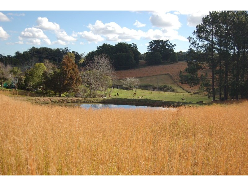 279 Eungai Creek Road, Eungai Creek NSW 2441