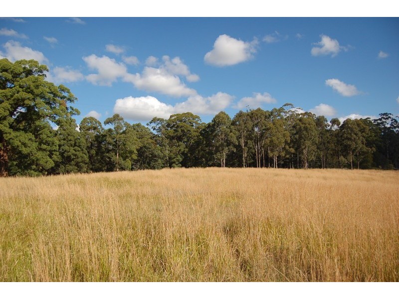 279 Eungai Creek Road, Eungai Creek NSW 2441
