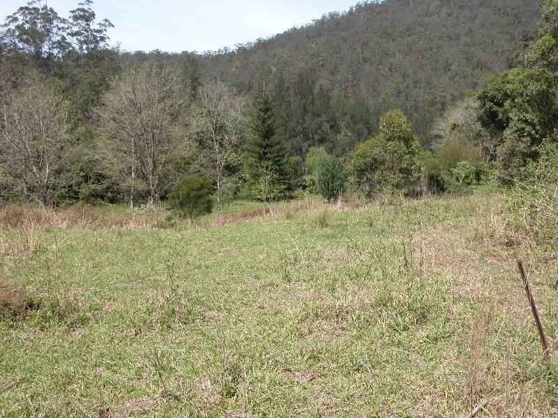 640 Upper Buckrabendinni Road, Bowraville NSW 2449