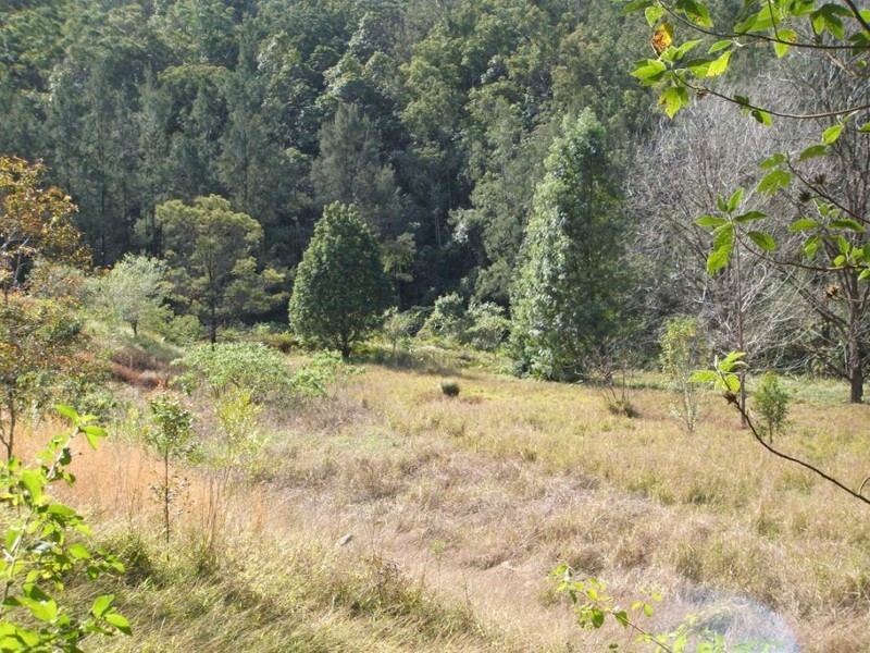 640 Upper Buckrabendinni Road, Bowraville NSW 2449