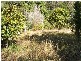 640 Upper Buckrabendinni Road, Bowraville NSW 2449