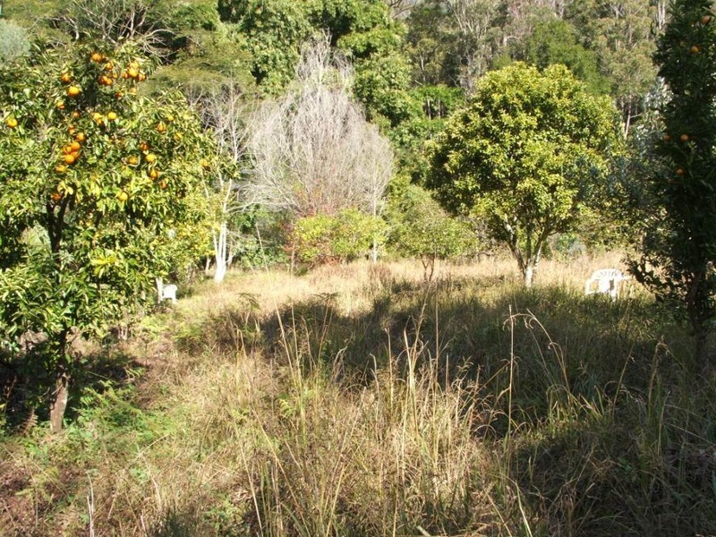640 Upper Buckrabendinni Road, Bowraville NSW 2449