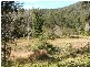 640 Upper Buckrabendinni Road, Bowraville NSW 2449