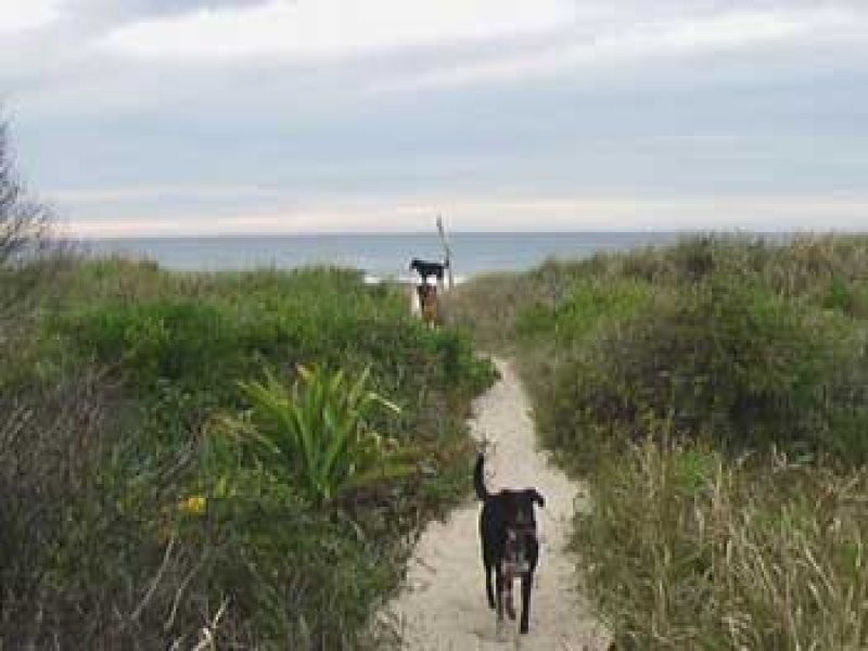 12 Clarke Close, Hyland Park NSW 2448