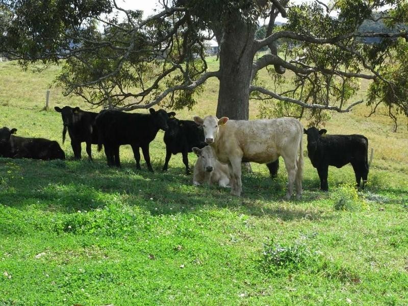 Macksville NSW 2447