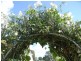 Macksville NSW 2447