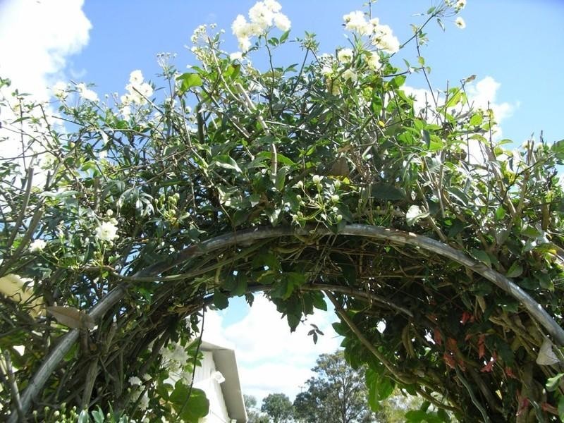 Macksville NSW 2447