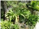 Macksville NSW 2447
