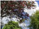 Macksville NSW 2447