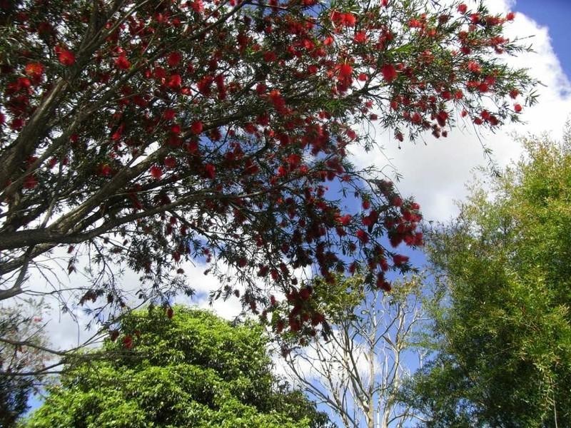 Macksville NSW 2447