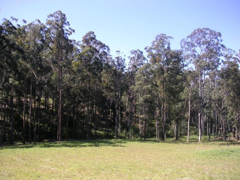 35 Florence Wilmont Dr Kingsworth Estate, Nambucca Heads NSW 2448