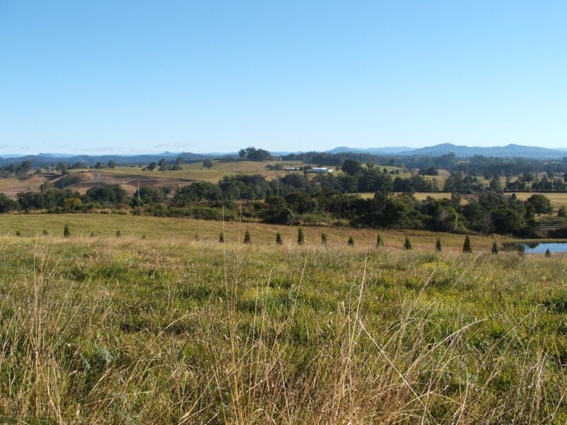 Lot 31 Albert Drive, Warrell Creek NSW 2447