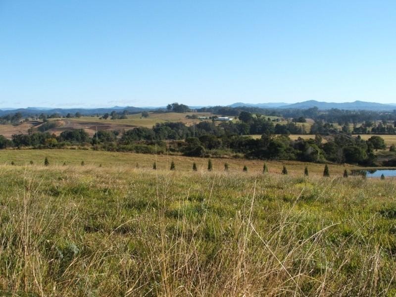 Lot 33 Albert Drive, Warrell Creek NSW 2447