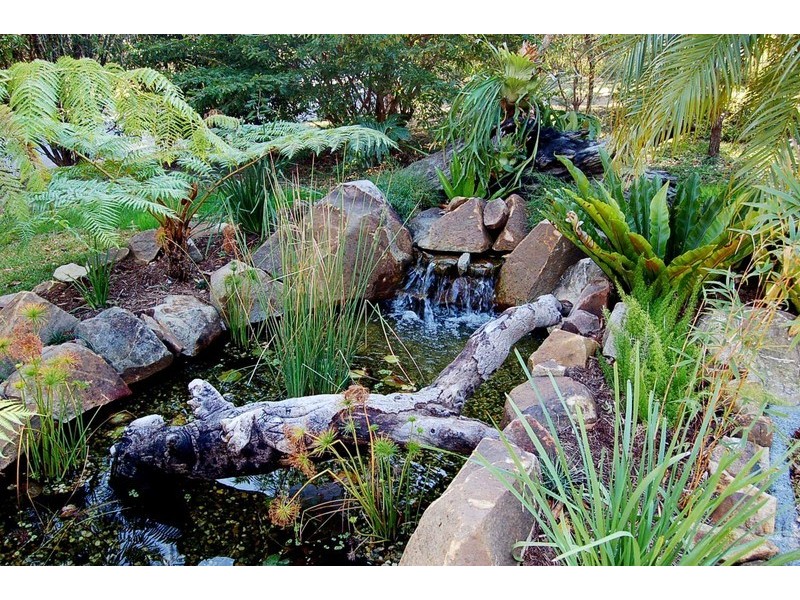 13 Sanctuary Place, Hyland Park NSW 2448