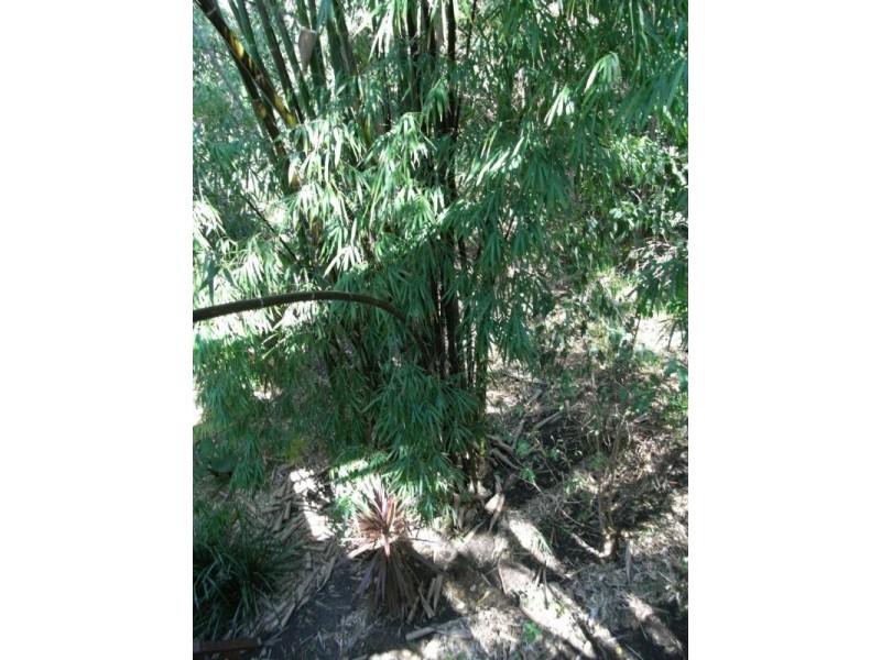 Nambucca Heads NSW 2448