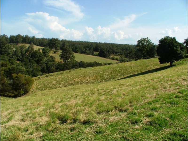 1241 Dures Lane, Tamban NSW 2441