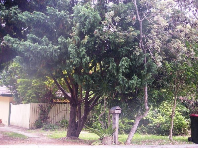 Hyland Park NSW 2448