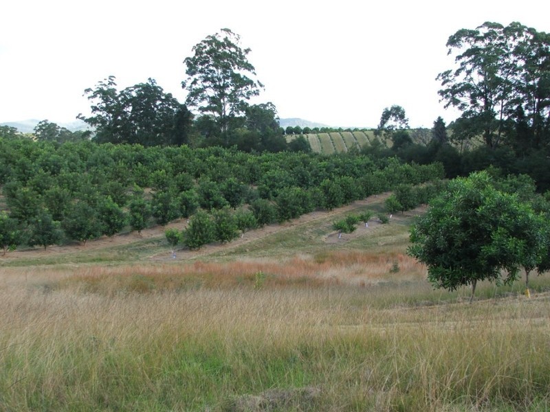 Lot 2 Main St Donnellyville, Macksville NSW 2447