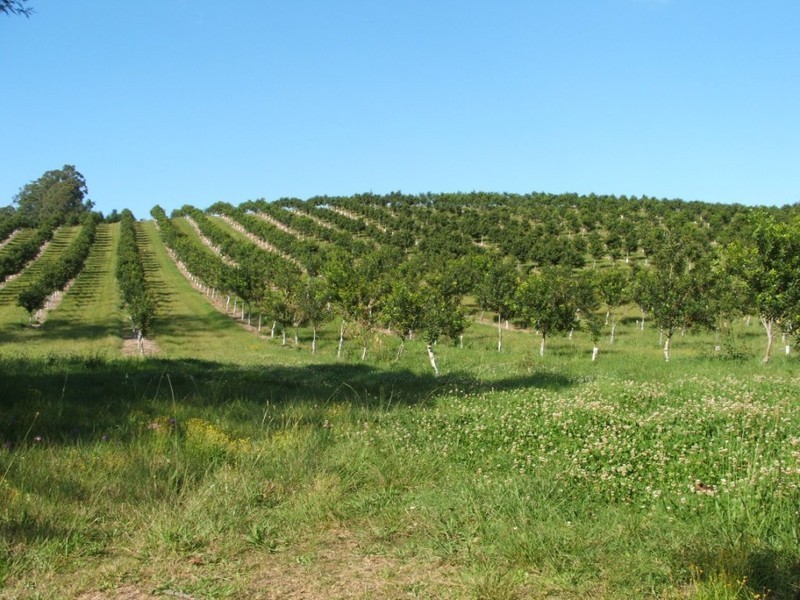 Lot 2 Main St Donnellyville, Macksville NSW 2447