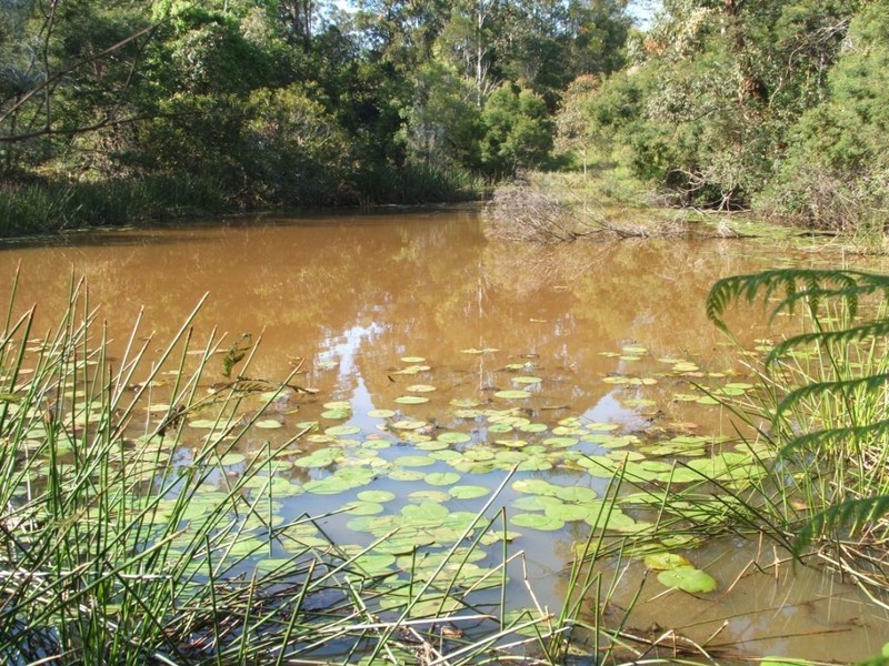 Lot 2 Main St Donnellyville, Macksville NSW 2447