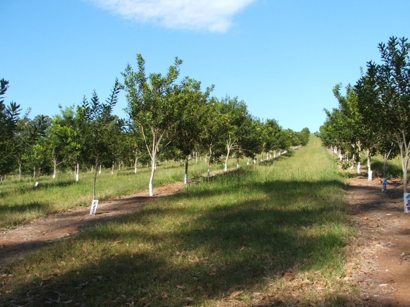 Lot 2 Main St Donnellyville, Macksville NSW 2447