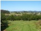 Lot 1 Main St Donnellyville, Macksville NSW 2447