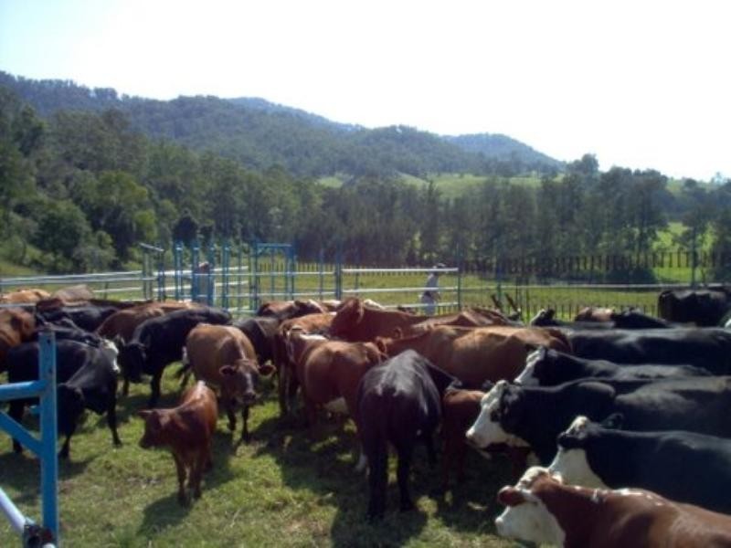 1756 North Arm Road, Bowraville NSW 2449