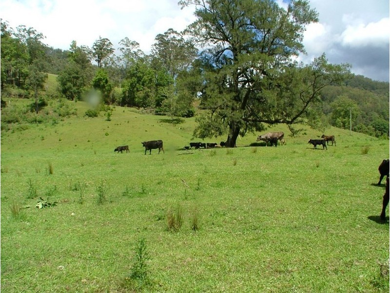 5155 Taylors Arm Road, Thumb Creek NSW 2447