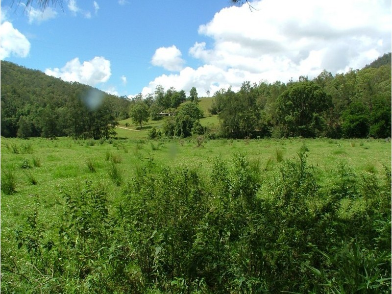 5155 Taylors Arm Road, Thumb Creek NSW 2447