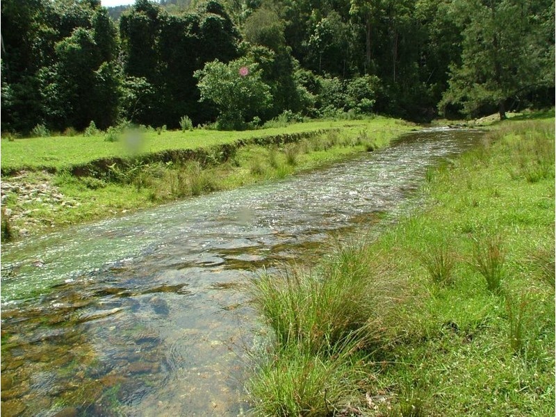 5155 Taylors Arm Road, Thumb Creek NSW 2447