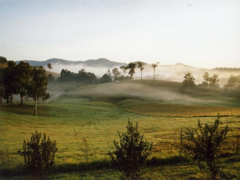 2927 Taylors Arm Road, Macksville NSW 2447