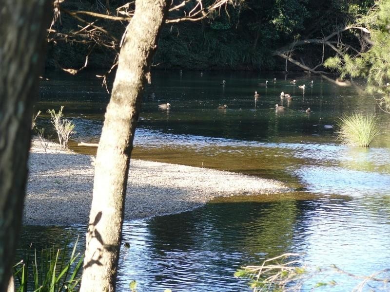 2927 Taylors Arm Road, Macksville NSW 2447