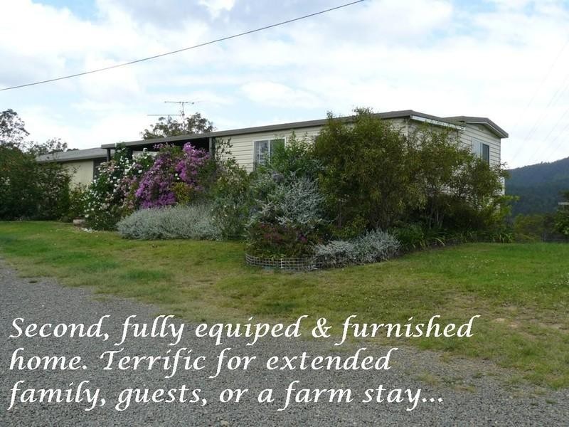 2927 Taylors Arm Road, Macksville NSW 2447