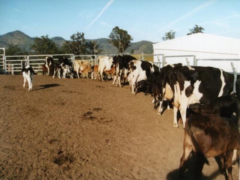 2927 Taylors Arm Road, Macksville NSW 2447