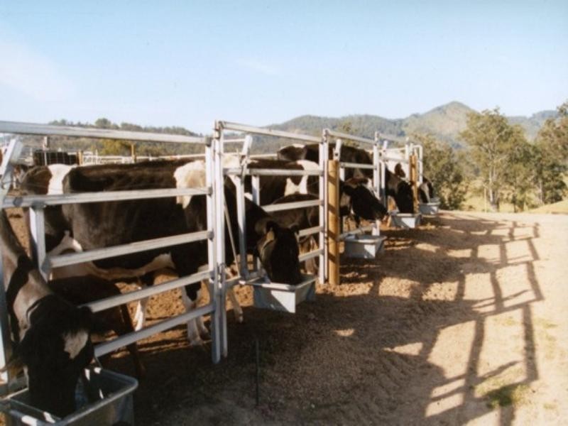 2927 Taylors Arm Road, Macksville NSW 2447