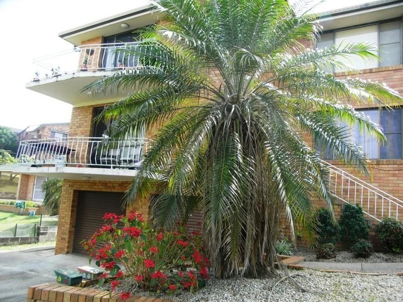 Nambucca Heads NSW 2448