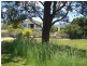 600 Valla Road,, Valla NSW 2448