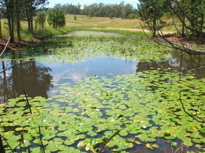 3386 Pacific Highway,, Eungai Rail NSW 2441