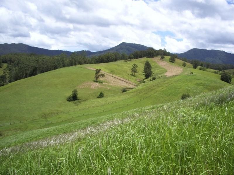 3901 Taylors Arm Road, Burrapine NSW 2447