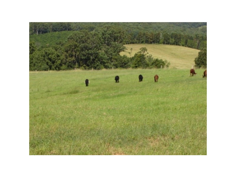 Lot 2 O’Dells Road, Macksville NSW 2447