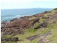 Lot 1 Seabreeze Place, Scotts Head NSW 2447