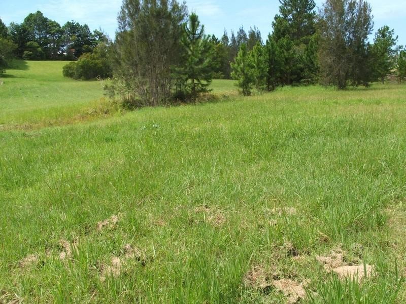 16 Laura Place, Macksville NSW 2447