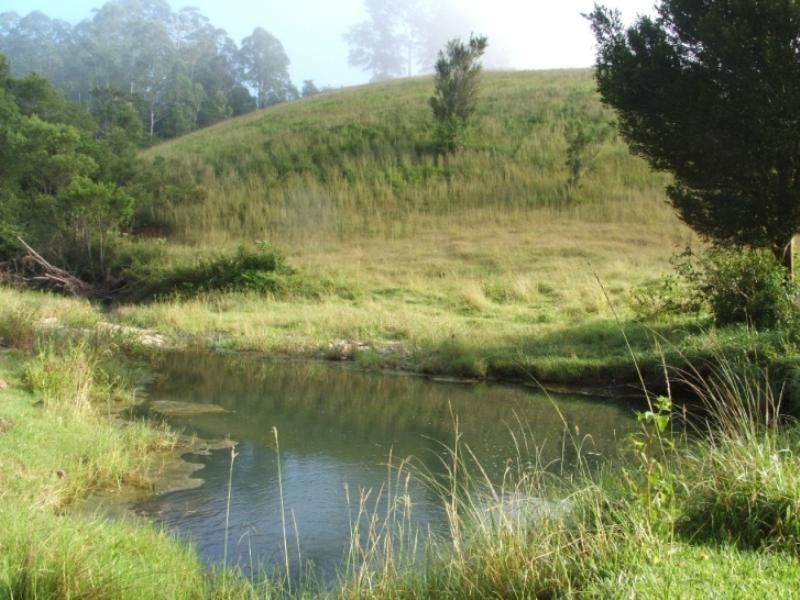 3748 Taylors Arm Road, Burrapine NSW 2447