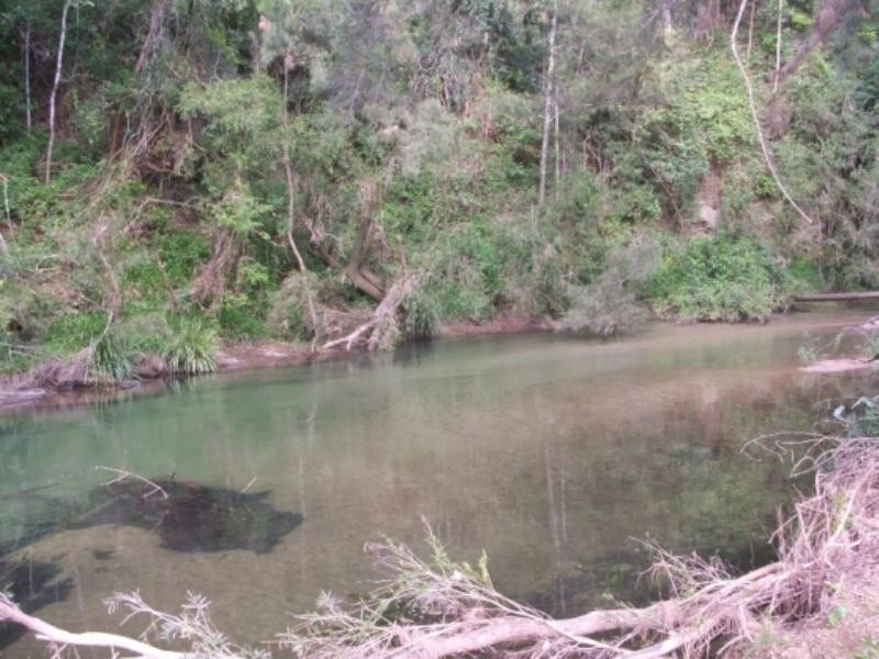 3748 Taylors Arm Road, Burrapine NSW 2447