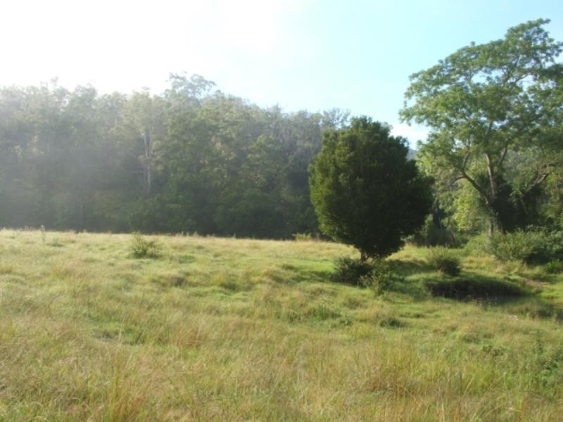 3748 Taylors Arm Road, Burrapine NSW 2447