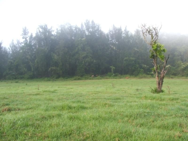 3748 Taylors Arm Road, Burrapine NSW 2447