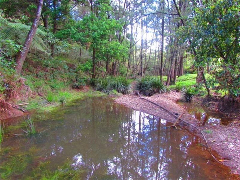 1290 Missabotti Road, Bowraville NSW 2449