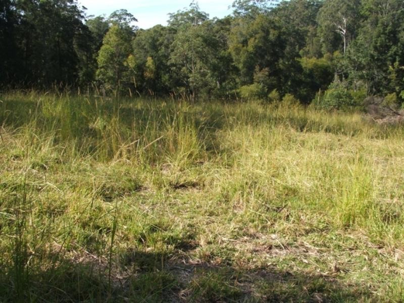 Lot 6 Eungai Creek Road, Eungai Creek NSW 2441
